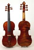 6 String Electric Violins