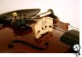 Acoustic Electric Violin.