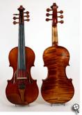 5 String Electric Violins and 6 string Electric Violins.